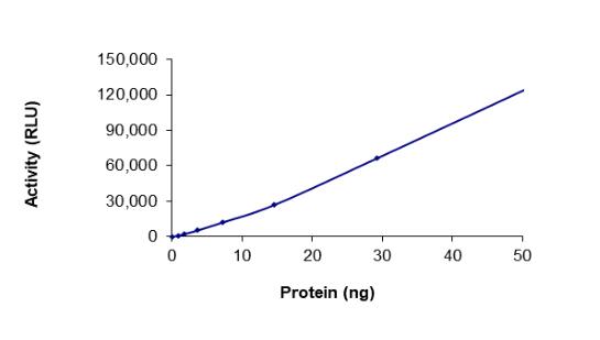 The specific activity of EGFR (D746-750 G724S) was determined to be 10.2 nmol/min/mg as per activity assay protocol.